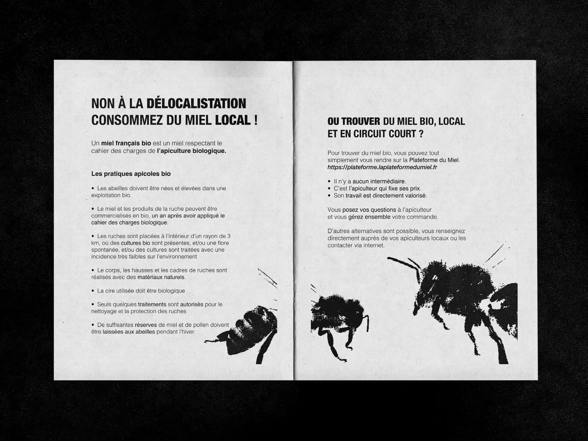 Fanzine spread on organic, local honey, illustrated with black bees