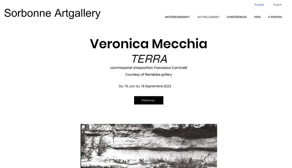 Web page for the “Terra” exhibition: title, dates and booking button
